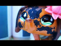 Thumbnail for version as of 22:21, February 18, 2014