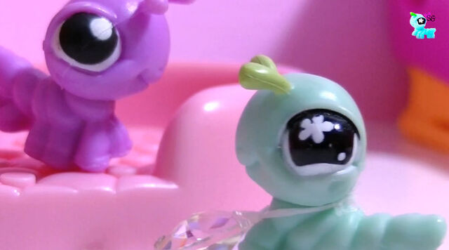File:Gigi and purple cricket.jpg