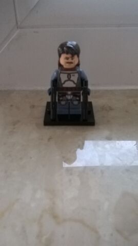 Plik:Figur.jpg