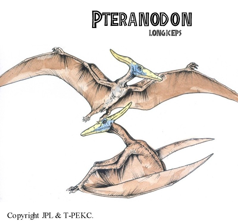 jurassic world png powered of  Wiki  FANDOM  Legend Live the LTL Pterosaurs