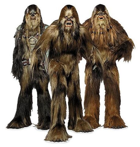 File:ThreeWookieeAmigos-ROTSVD.jpg