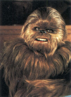 Lumpy