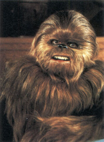File:Lumpy.jpg