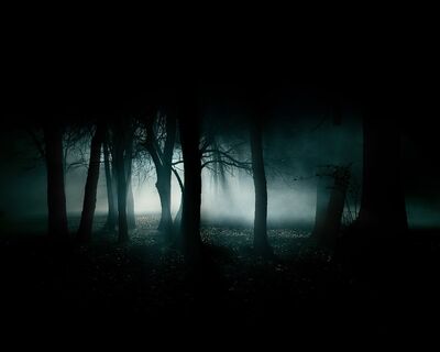 Drakwald