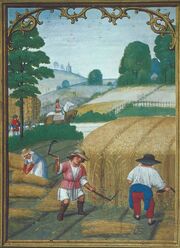Farming in Lucerne