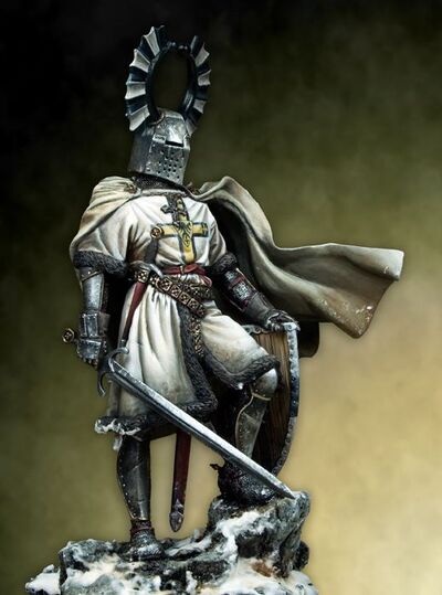 Toppennacht Knight
