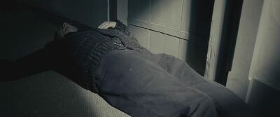 HOUSE pOTTTER Destroyed 3