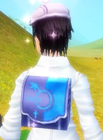 File:Zodiac School Bag.jpg