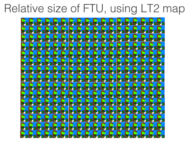 File:FTUsize.png