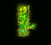 Myth1-5
