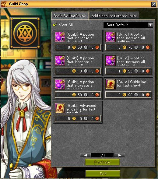 Guild Shop high