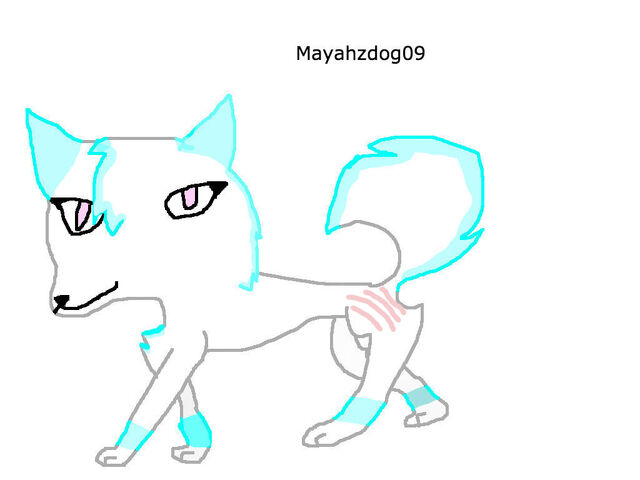 File:Mayahzdog09Wikia.jpg