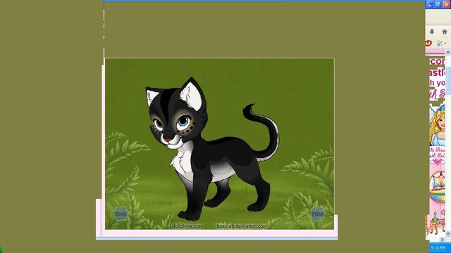 File:Nightwing as a kitten.jpg