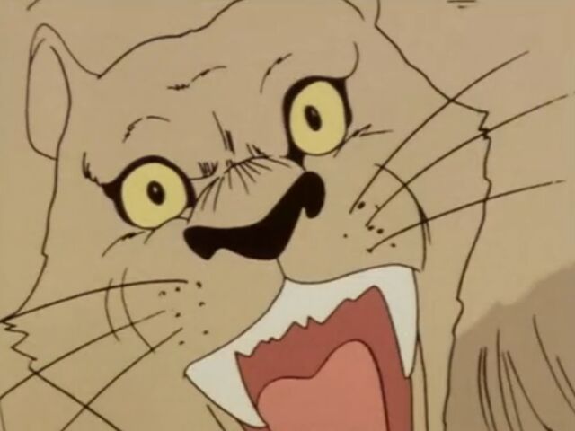 File:Puma.jpg