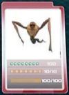 Plik:100px-Creeper card.jpg