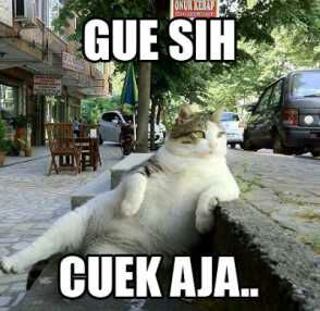 File:Gue Sih Cuek Aja.jpg