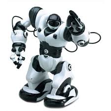 Robo Enforcer