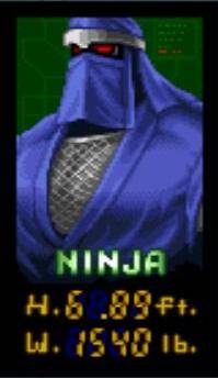 1240299-ninja warriors ninja mugshot