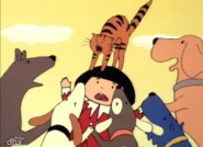Pepito attacked by dogs