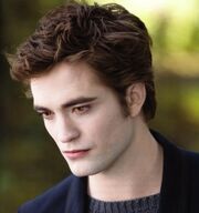 EdwardNMCompanion