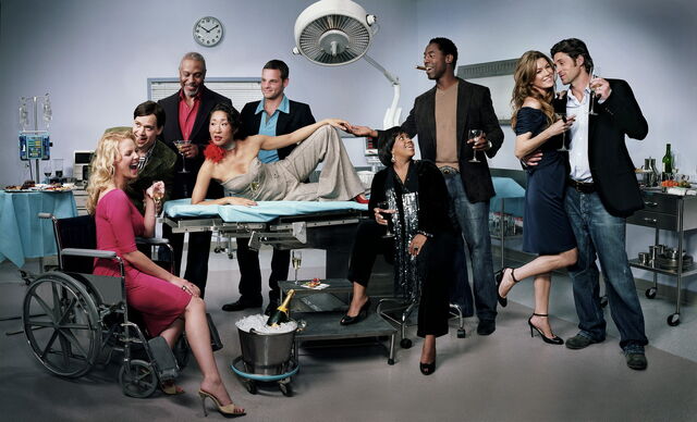 File:Greys anatomy1.jpg