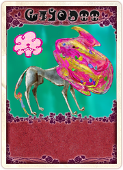 Card Uhrmann.png