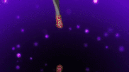 Homura-mahou-shoujo-madoka-magica-37415956-600-337-0.gif
