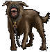 File:Boost mutt 75x75 01.gif