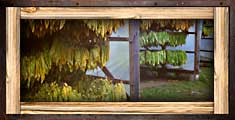 Business tobacco 150x75 01