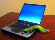 Worm laptop2