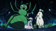Insectos.png