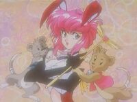Misty may and mascots