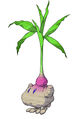Thumbnail for version as of 22:09, November 30, 2011