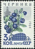 Черника марка.jpg
