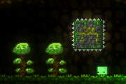 Forest Small