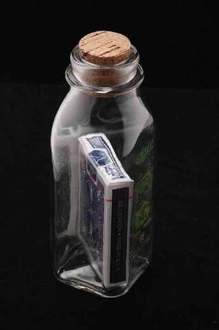 Файл:ImpossibleBottleBlueAngle-321x483.jpg