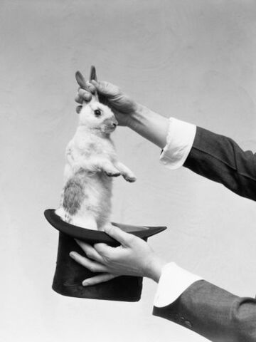 Файл:H-armstrong-roberts-hands-of-magician-performing-magic-trick-pulling-rabbit-out-of-top-hat.jpg
