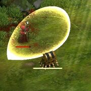 Shield Wall