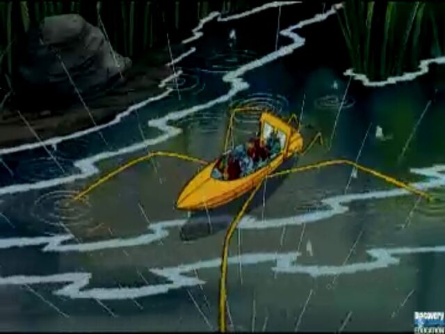 File:Water trider.jpg