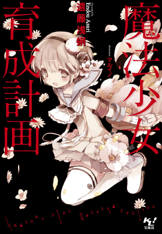File:Volume 1-LN-Cover.png