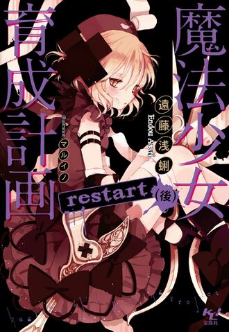 File:Volume 3-LN-Cover.jpg