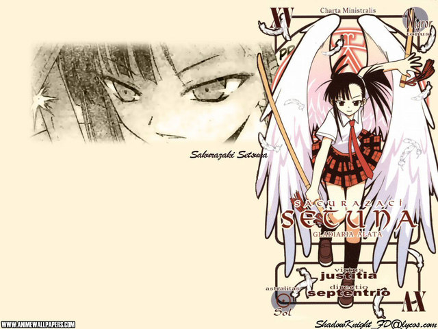 File:Negima 17 640.jpg