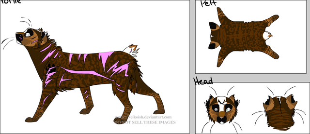 File:Blackstar.png