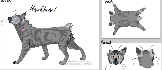 File:Hawkheart.png