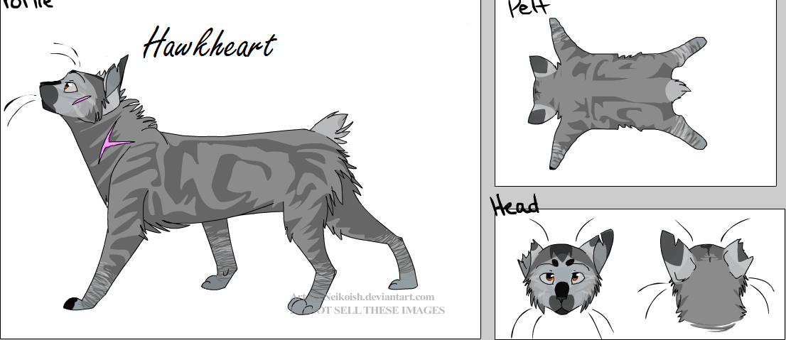 Hawkheart