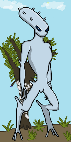 File:Permitted.png