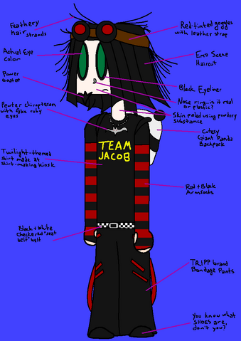 File:Baldur Steinbach New Diagram.png