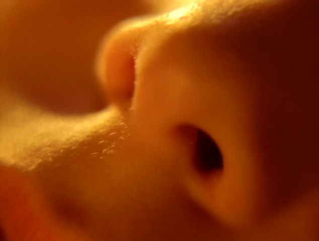 File:Reece's Nostril.png