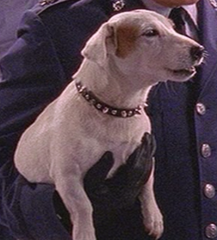 File:Patton.png