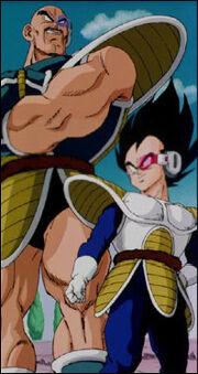 Nappavegeta